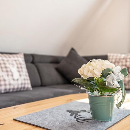 Apartamento Schwarzwaldnest Bad Wildbad Exterior foto